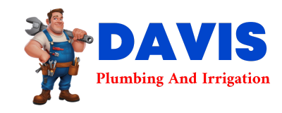 Trusted plumber in CARPIO